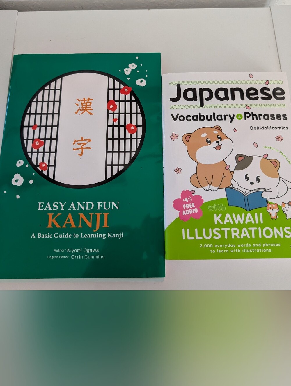 Japanese Vocabulary & Kanji Learning Book Set - New